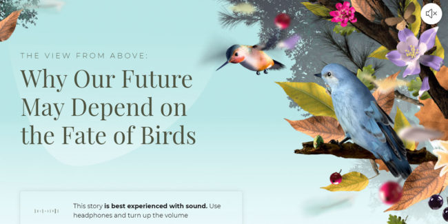 I siti web più belli e creativi da cui prendere ispirazione